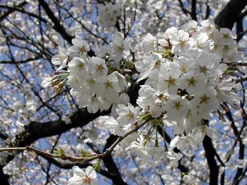 �� 01.4.1. 10:00AM