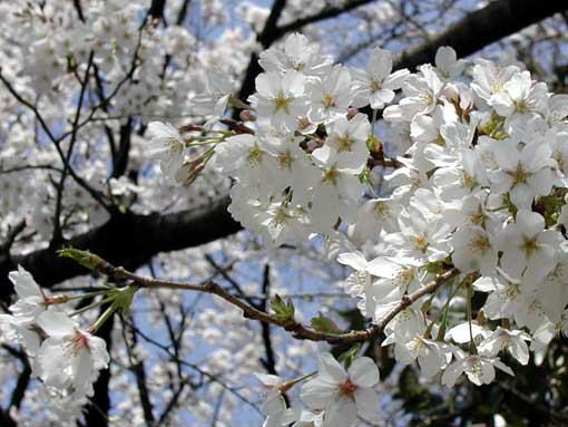 �� 01.4.2 10:00AM